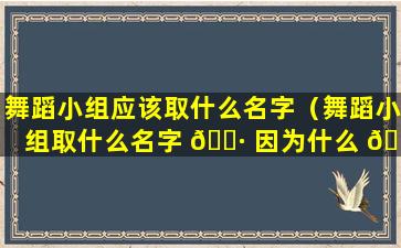 舞蹈小组应该取什么名字（舞蹈小组取什么名字 🌷 因为什么 🐠 原因取这个名字）